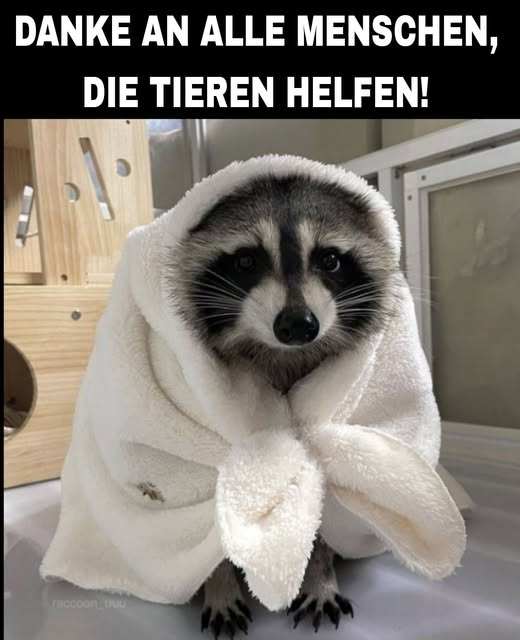 DANKE!
Helfen statt wegsehen macht erst wahre Menschlichkeit aus!