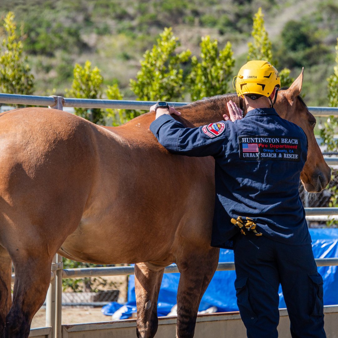 Our hearts go out to everyone affected by the devastating wildfires. We’re wishing you strength, resilience, and safety during this challenging time. A heartfelt thank you to all the first responders working tirelessly to combat the fires and protect these communities.