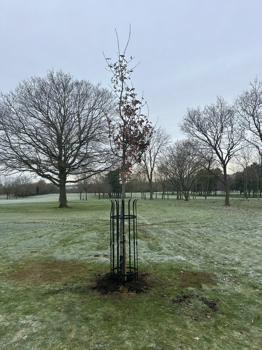 Lawrenc96115115's tweet photo. Donations from members for memorial trees, all 10 Oaks planted with cages.
Not the nicest weather to repair broken land drains, unfortunately all cause by tree roots. πβ³οΈ
#drainage #newtrees #cold https://t.co/E9w3AS7oqy