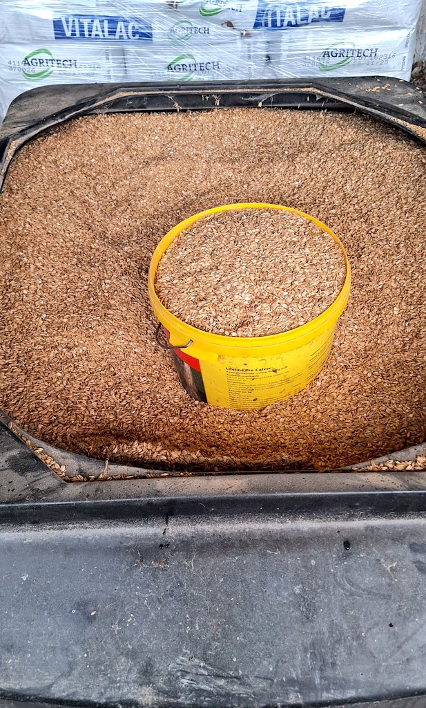 Kieran Griffin tweet media