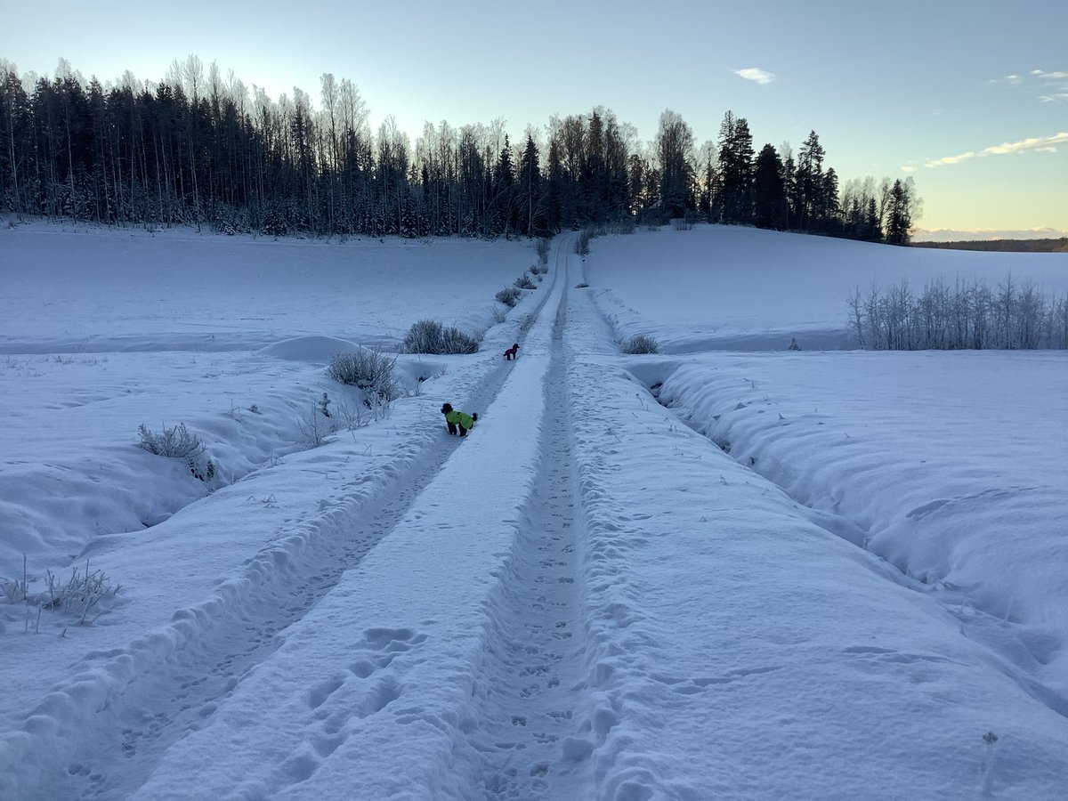 Lopetan tämän alustan käytön herra Elon Muskin toiminnan vuoksi. Kiitos yhteistyöstä vuodesta 2016! I will stop posting anything into X due to the activities of Mr Elon Musk. Thanks for our cooperation from 2016!