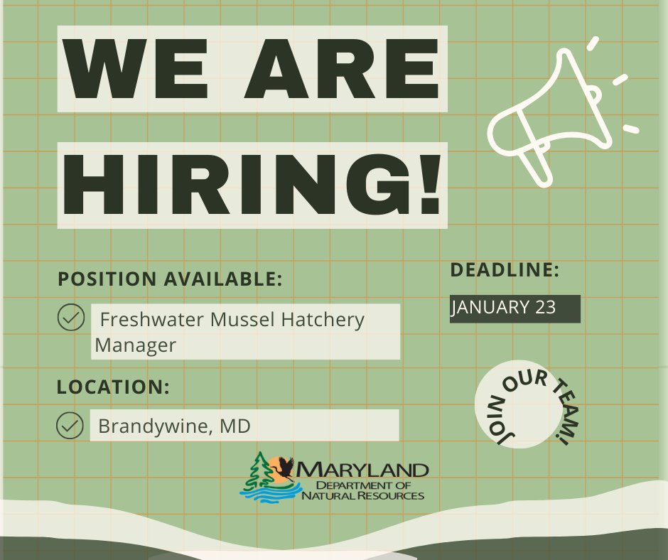💼 Job Announcement: Natural Resource Biologist IV - Freshwater Mussel Hatchery Manager

The main purpose of this position is to manage Maryland’s Freshwater Mussel Propagation and Restoration Program.
Learn more about this position and apply: bit.ly/4j85kOF
