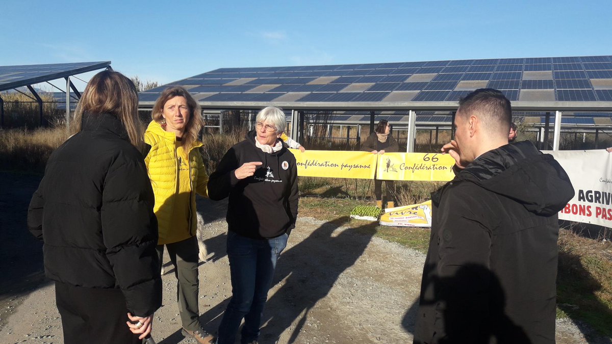 Conf' Paysanne (@confpaysanne) on Twitter photo Action ce matin dans les Pyrénées-Orientales sur une serre photovoltaïque vide d'activité agricole en dessous en présence de notre secrétaire nationale Sylvie Colas. #agrivoltaïsme #SouveraineteAlimentaire <a href="/ladepeche31/">La Dépêche 31</a> Action ce matin dans les Pyrénées-Orientales sur une serre photovoltaïque vide d'activité agricole en dessous en présence de notre secrétaire nationale Sylvie Colas. #agrivoltaïsme #SouveraineteAlimentaire <a href="/ladepeche31/">La Dépêche 31</a>