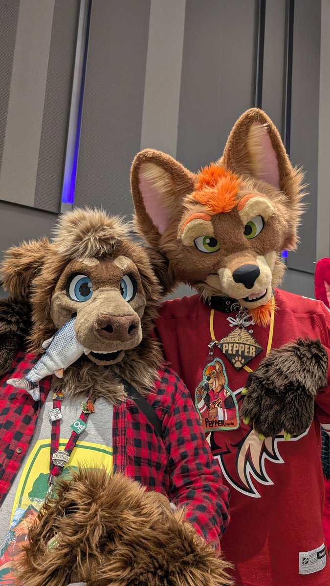 Torx Bear ➡️ Furlandia ➡️ AC 🏳️🌈🇺🇸 tweet media