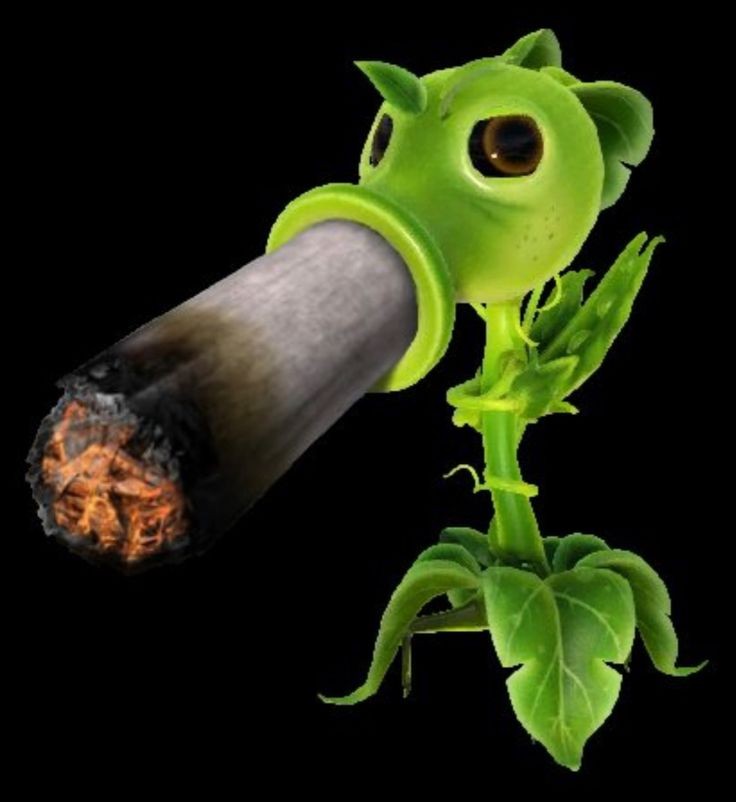 ethancole_ai's tweet photo. 🌻🚬 https://t.co/6s1ZSQIKTl