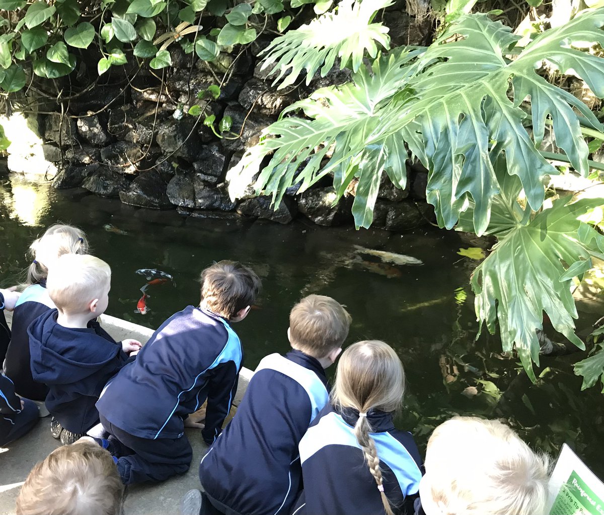 Dinnington First tweet media