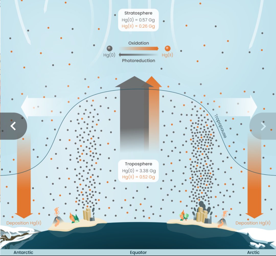 Juan Antonio Añel Cabanelas (@aetherlux) on Twitter photo Hoy publicamos un espectacular hallazgo <a href="/ScienceAdvances/">Science Advances</a>.
science.org/doi/10.1126/sc…
Hasta la mitad de la contaminación de mercurio del planeta pasa por la #estratosfera. Además sabíamos que en los océanos se ha triplicado desde 1850. El cambio climático la aumenta y acelera.
🧵1/9 Hoy publicamos un espectacular hallazgo <a href="/ScienceAdvances/">Science Advances</a>.
science.org/doi/10.1126/sc…
Hasta la mitad de la contaminación de mercurio del planeta pasa por la #estratosfera. Además sabíamos que en los océanos se ha triplicado desde 1850. El cambio climático la aumenta y acelera.
🧵1/9