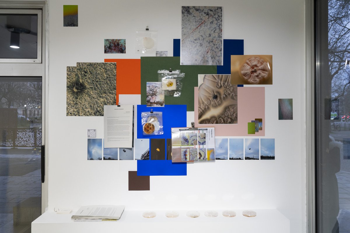 citedesarts's tweet photo. In "Accumulated Silence Layer", Jee Hee Park presents golden Parisian mushrooms and a polarizing sculpture, creating a poetic dialogue between the natural and the urban worlds.

On view until January 18, 2025⁠
→ Vitrine
⁠→ https://t.co/wCqhfhI8Lo https://t.co/QR2EUEPD73