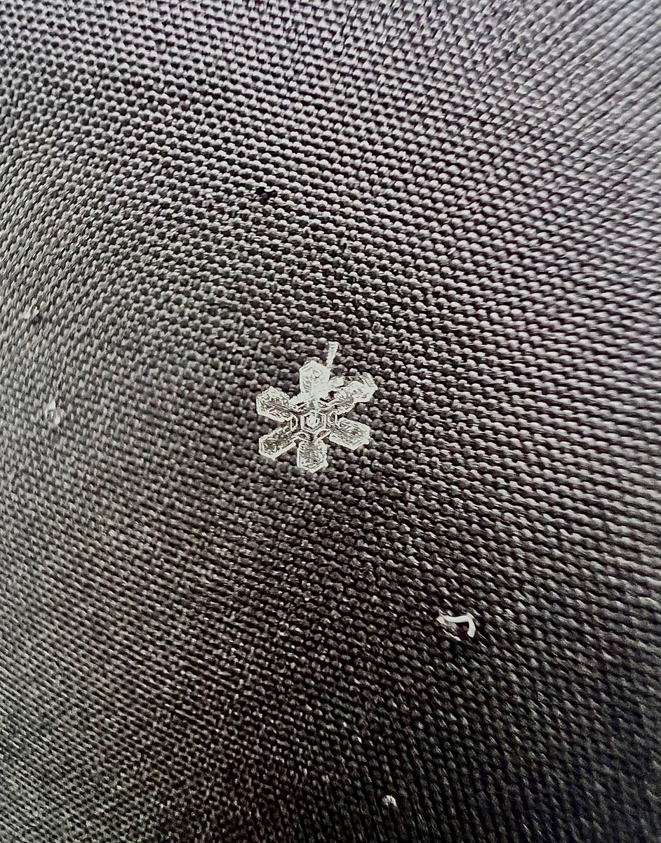 This ❄️ snowflake fell on my gloves this morning so I decided to click a macro pic 🥰🥰