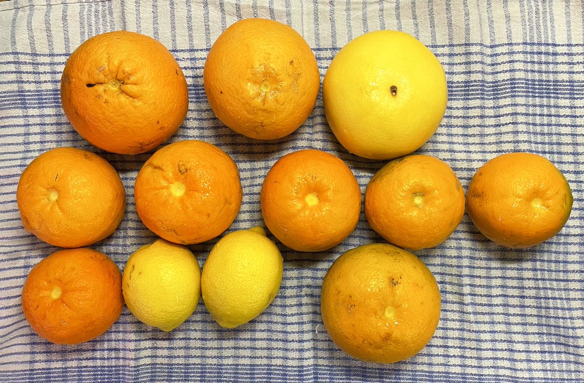 Let battle begin…

⁦<a href="/MarmaladeAwards/">Marmalade Awards</a>⁩