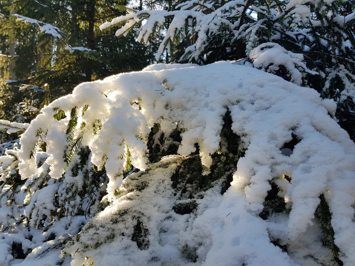 See what's happening at the Sunflower Centre this January: mailchi.mp/1e8a6b187bf5/n…
#backtoworkmum #TRE #creativewritingforwellbeing #walkinchairmassage #alexandertechniqueclass #gongbath #babymassage #babyyoga #toddleryoga