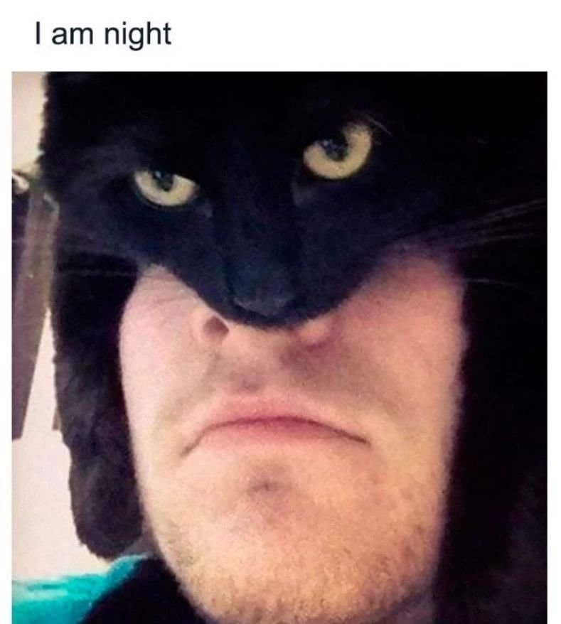 Cat-Man