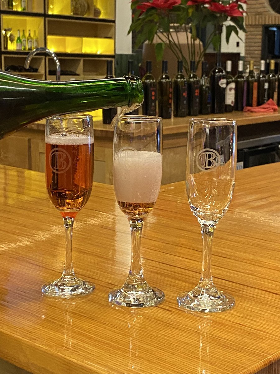 Te llevamos a las mejores #bodegas <a href="/baron_balche/">Barón Balché</a>  #guadalupevalley #bajacalifornia #mexicanwine #experience #enjoybaja #BaronBalche #Ensenada #winetasting