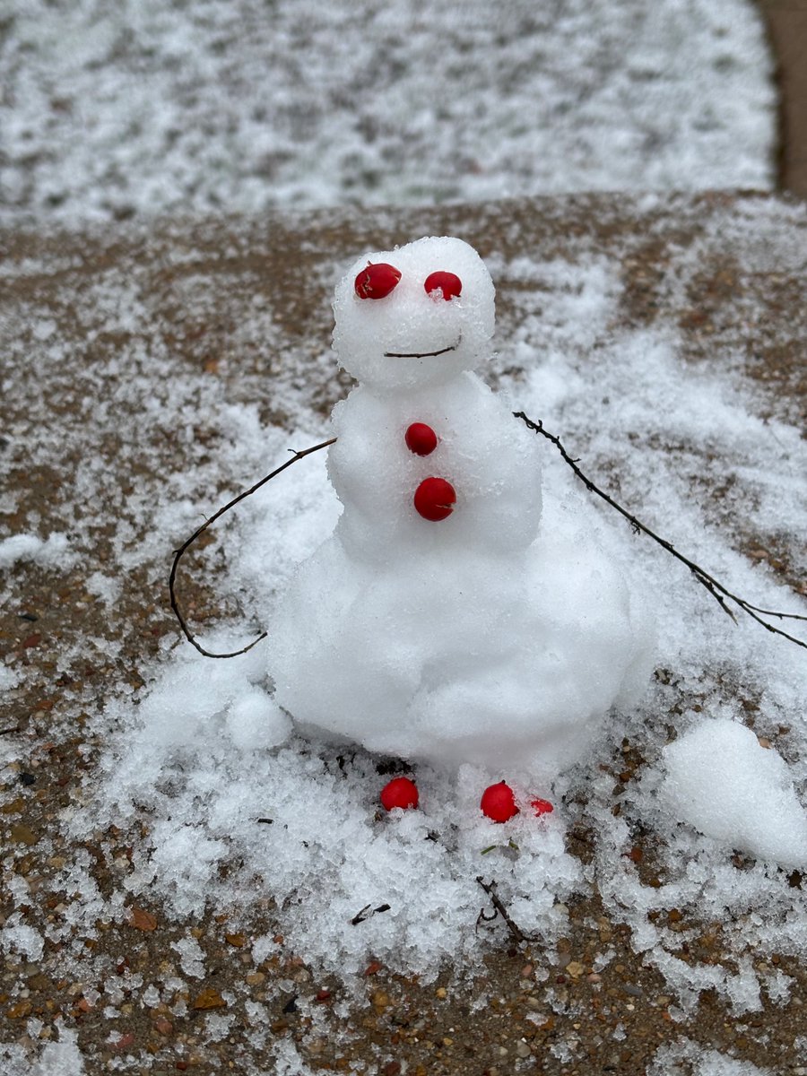 agorgeousrose's tweet photo. Making the best of what we have… ☃️#snowdaydfw #snowday @wfaa @NBCDFW https://t.co/Hu51kOtN2Z