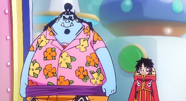 Daily Jimbei (@dailyjimbei) on Twitter photo 