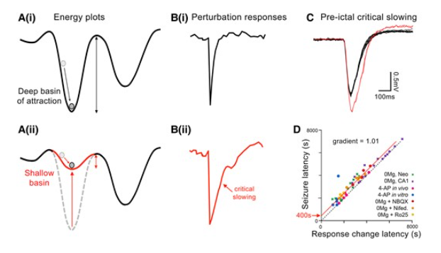 Neural Cell News (@neuralcell) on Twitter photo Brain stimulation may be a solution for the unmet needs of people living with drug-resistant #epilepsy.
The lab of Dr. Elliot Smith (<a href="/50kDinar/">Elliot Smith</a>) at <a href="/UofUNeurosurg/">University of Utah Neurosurgery</a> reviews the state of the clinical field and recent progress in preclinical animal research. bit.ly/4h4MndR Brain stimulation may be a solution for the unmet needs of people living with drug-resistant #epilepsy.
The lab of Dr. Elliot Smith (<a href="/50kDinar/">Elliot Smith</a>) at <a href="/UofUNeurosurg/">University of Utah Neurosurgery</a> reviews the state of the clinical field and recent progress in preclinical animal research. bit.ly/4h4MndR