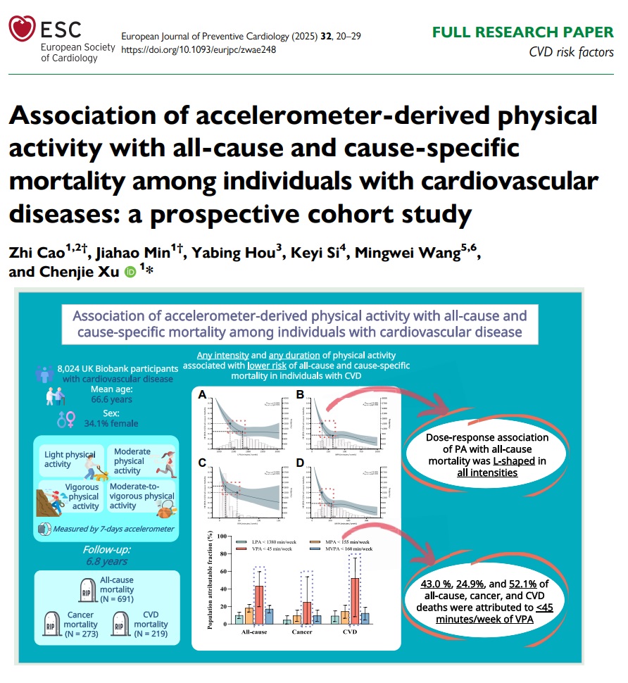 This study finds an inverse non-linear association between all intensities  of PA and mortality risk in CVD patients using accelerometer-derived data, but with a larger magnitude of the associations than that in previous studies based on self-reported PA academic.oup.com/eurjpc/article…