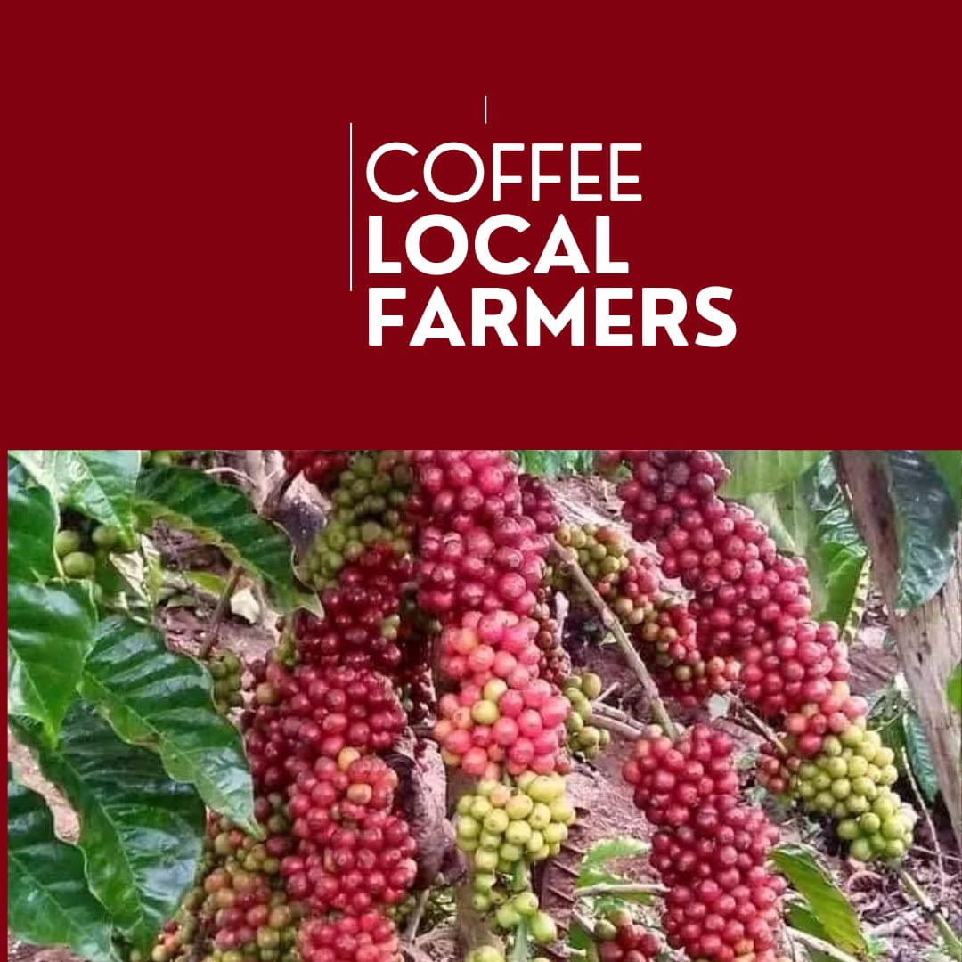 coffee the best quality farmers...