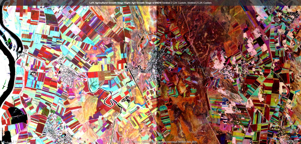 I remain a big fan of kNDVI - Left side is regular agricultural growth stage by @hareldan, right side is the same but replacing NDVI with kNDVI. Kunszentmiklós, Hungary, 2024 Both beautiful, but I think detail within parcels is easier to find with kNDVI #CDSE #Agriculture #sciart