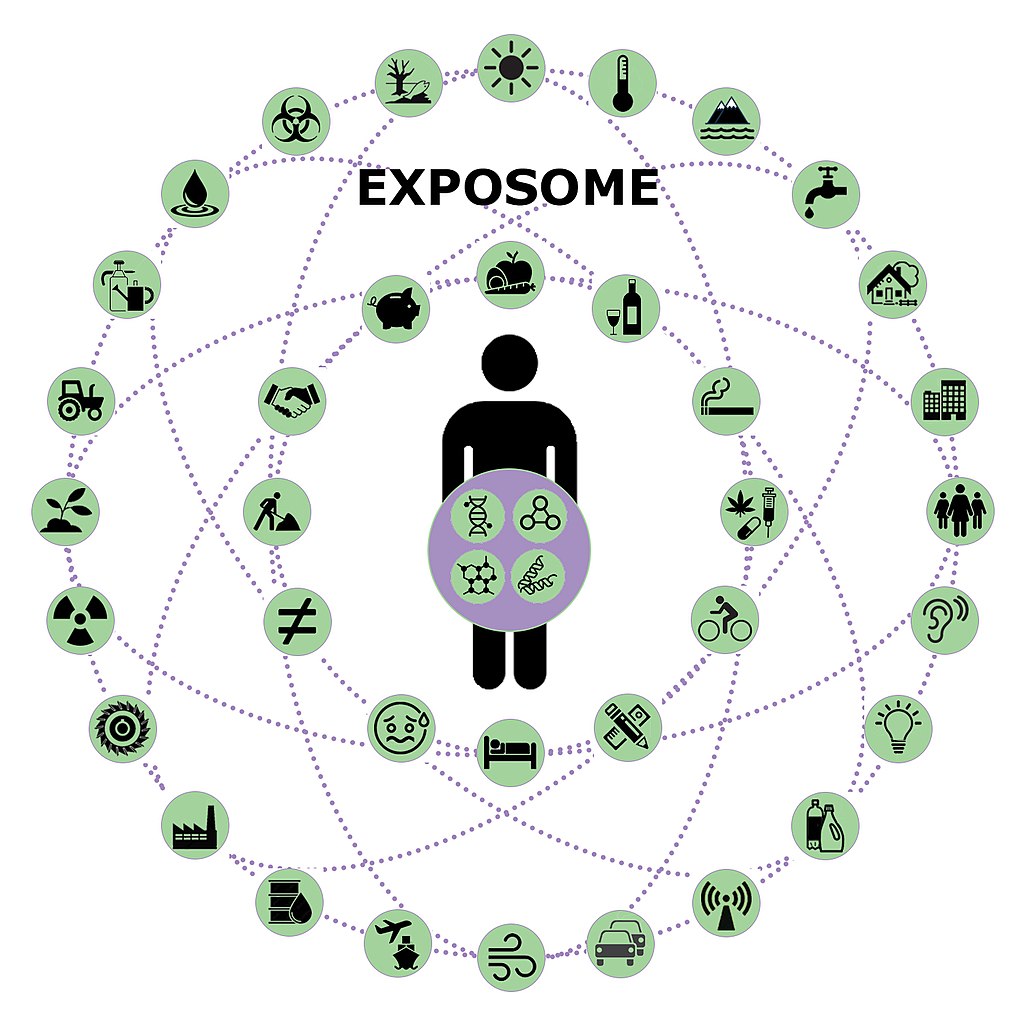 Donald Thomas, MD (@lupuscyclopedia) on Twitter photo 🔥 Interesting article from Dr. <a href="/VickiShanmugam/">Dr. Victoria Shanmugam</a> and colleagues about how the "exposome" plays an important role in the development and flares of autoimmune diseases.
acrjournals.onlinelibrary.wiley.com/doi/10.1002/ac…
We always talk about "triggers" for diseases like #lupus #SLE and #Sjogrens ... now we 🔥 Interesting article from Dr. <a href="/VickiShanmugam/">Dr. Victoria Shanmugam</a> and colleagues about how the "exposome" plays an important role in the development and flares of autoimmune diseases.
acrjournals.onlinelibrary.wiley.com/doi/10.1002/ac…
We always talk about "triggers" for diseases like #lupus #SLE and #Sjogrens ... now we