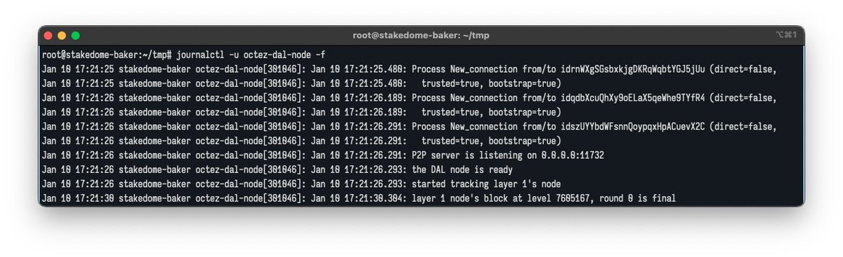 DAL node running and rocking!. 🤟 <a href="/tezos/">Tezos</a> <a href="/etherlink/">Etherlink 🔗</a>