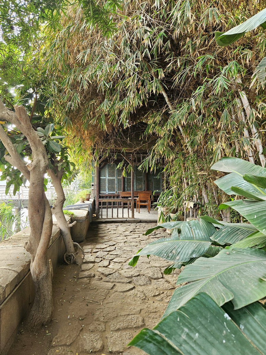 SilviaZago6's tweet photo. I think I could get used to this wonderful #home away from home at the Swiss Archaeological Institute in Zamalek... Such a lush garden and gorgeous building, such nice views on Boulaq and downton Cairo! 🤩
#egypt #archaeology #egyptology https://t.co/7ljiQhtzq3