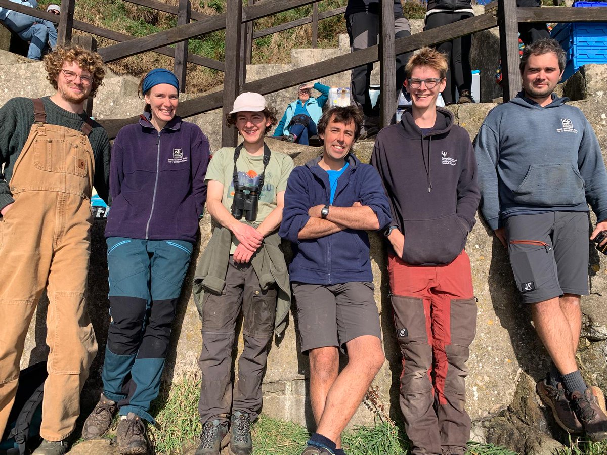 Want to join the Skomer team in 2025? We're somehow nearly halfway through the application period for long-term volunteering!

Interested? Get your application in by Friday 31st January at 23:59.

Apply here: welshwildlife.org/volunteering-o…