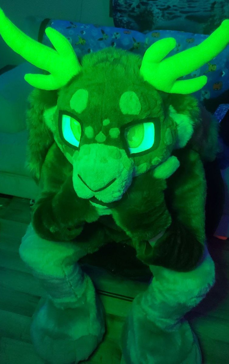 Naubii ⚧ ⚸ (@bunnynaubii) on Twitter photo Bet you can't guess my favorite color 💚
#FursuitFriday
🪡 <a href="/KabberCreations/">Kabber Creations - fursuit maker</a> Bet you can't guess my favorite color 💚
#FursuitFriday
🪡 <a href="/KabberCreations/">Kabber Creations - fursuit maker</a>