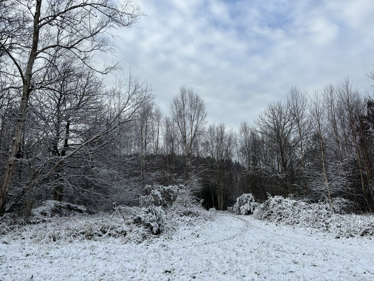 Still snowy in the Surrey Hills #Surrey #Hindhead