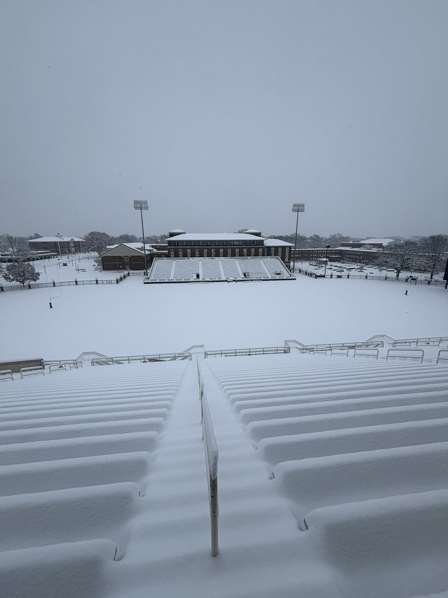 Jonathan Ringo tweet media