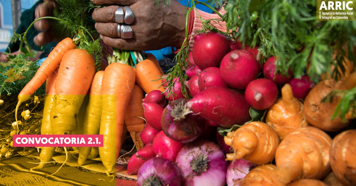 🔵🟢🟡 #ARRIC 🇨🇴

📢 CONVOCATORIA 2.1.
Para apoyo a las consultorías locales: 1) Diagnóstico del Subsistema Nacional de Formación y Capacitación para la Innovación Agropecuaria y 2) diseño de un curso virtual transición agroecológ…
🌐 Descarga los TDR:
avsforg-my.sharepoint.com/:f:/g/personal…