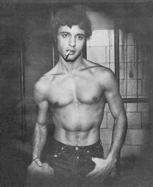 Bruce LaBruce tweet media