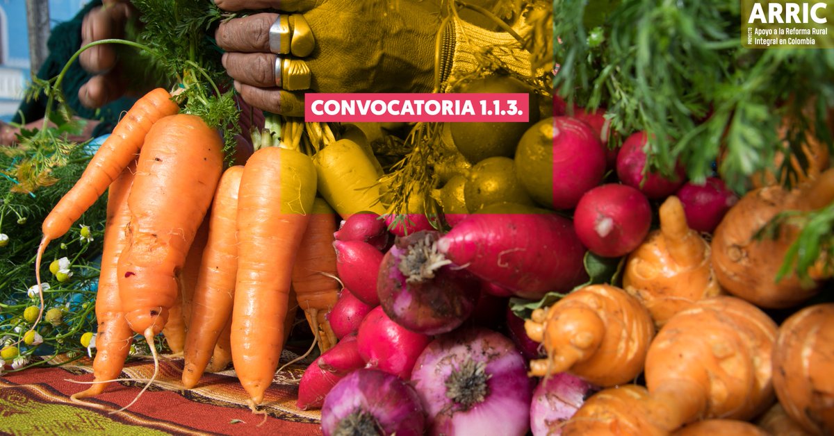 🔵🟢🟡 #ARRIC 🇨🇴

📢 CONVOCATORIA 1.1.3.
Para apoyo a las consultorías locales: 1) Diagnóstico del Subsistema Nacional de Formación y Capacitación para la Innovación Agropecuaria y 2) diseño de un curso virtual transición agroecológ…
🌐 Descarga los TDR:
avsforg-my.sharepoint.com/:f:/g/personal…