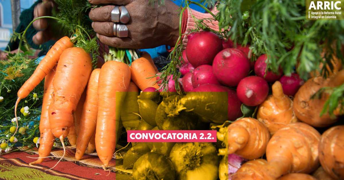 🔵🟢🟡 #ARRIC 🇨🇴

📢 CONVOCATORIA 2.2.
Para apoyo a las consultorías locales: 1) Diagnóstico del Subsistema Nacional de Formación y Capacitación para la Innovación Agropecuaria y 2) diseño de un curso virtual transición agroecológ…
🌐 Descarga los TDR:
avsforg-my.sharepoint.com/:f:/g/personal…