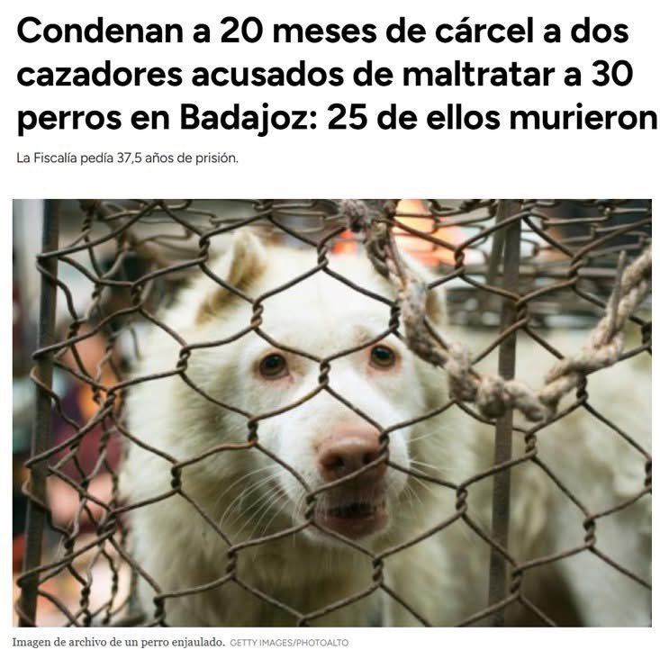 🔵ESTA ES LA VERDAD DE LA CAZA APOYADA POR LA ADMINISTRACIÓN: 

🔵Condenan a 20 meses de cárcel a dos cazadores acusados de maltratar a 30 perros en Badajoz: 25 de ellos murieron. 

🔵NOTICIA COMPLETA: huffingtonpost.es/sociedad/conde…