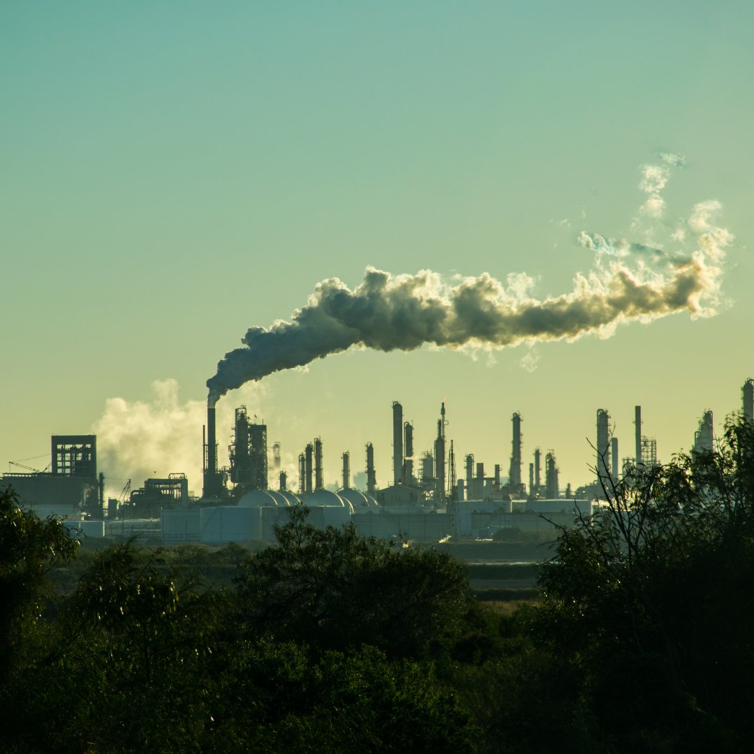 This article examines how political dynamics, particularly in the U.S., are expected to overshadow climate considerations in shaping sustainable finance trends with the potential rollback of climate-focused policies.

reuters.com/sustainability…