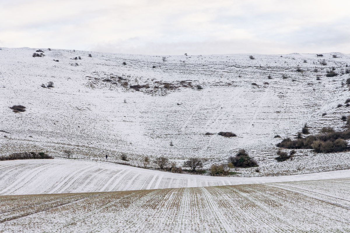 Spot the Long man of Wilmington