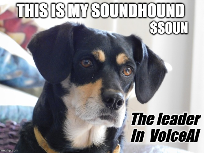 TadDickson333's tweet image. $SOUN @SoundHound #Facts #GROK #Competition
#Stockmarket #News #GenerativeAI #AmeliaAi #Amelia #Technology #NaturalVOICE #AwardWinning
#Licensing #Customized_Conversation #FoxBusiness
#VoiceAssist #The_Leader_IN_VoiceAi #HedgeFunds
#SantaClara #California #USAMade $NVDA