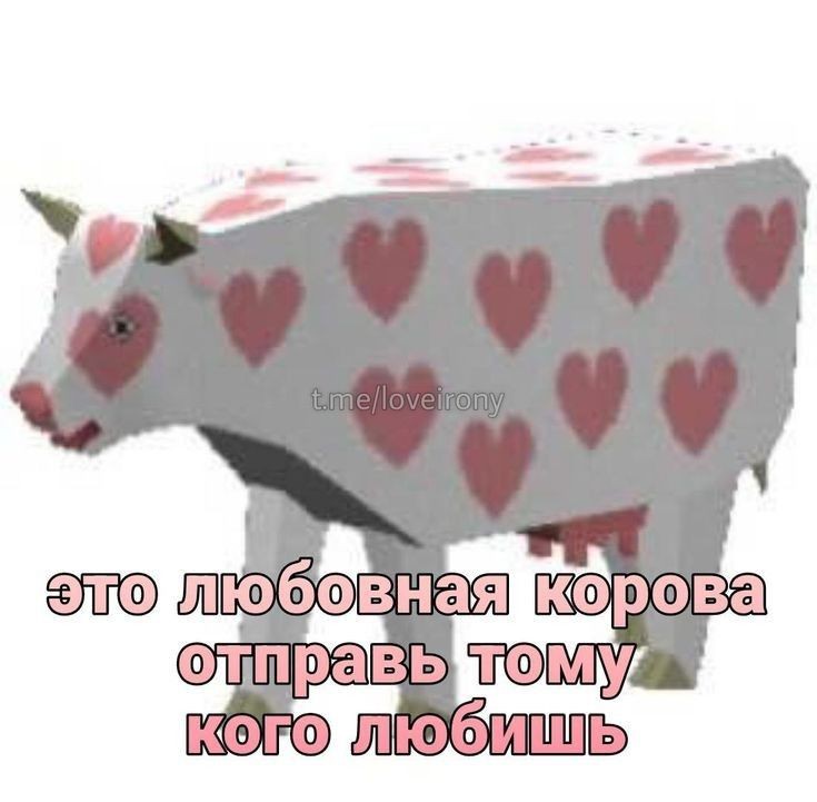 Укурыш-Дориан Сначалобылословович (@ashhloveu) on Twitter photo 