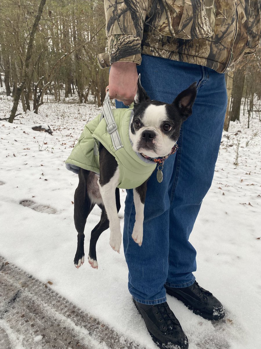 So as for my last post- it DID snow! No power loss yet so YAY! If all goes well commissions resume tomorrow. 

Enjoy our dog, Mochi, being carried like luggage by her dad. (Yes. She does enjoy it)