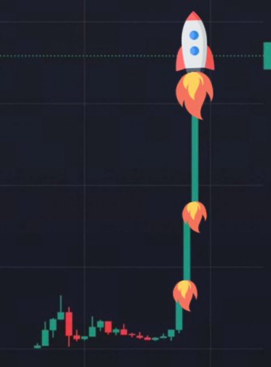 What memecoin will do this? 🔥🚀