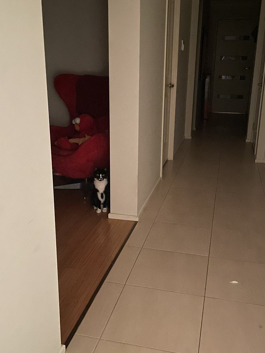 Poppy n the outsidies tweet media