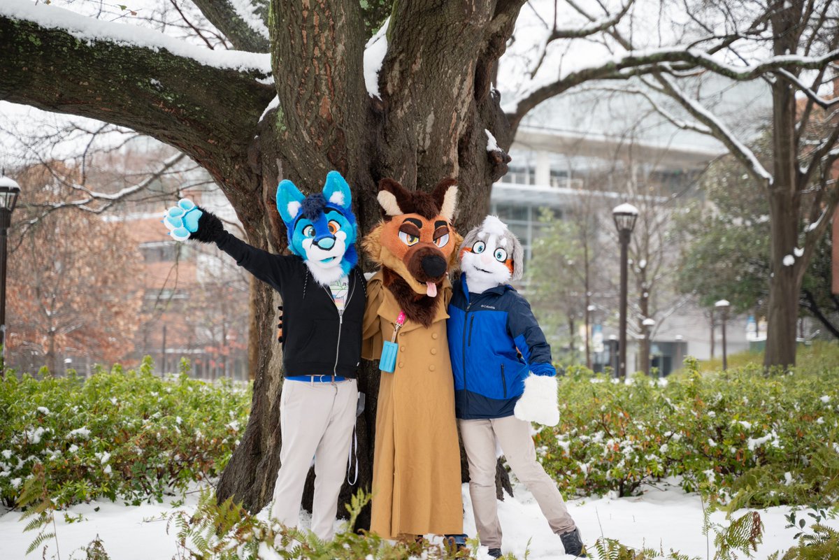 Society of Furries @ Tech tweet media