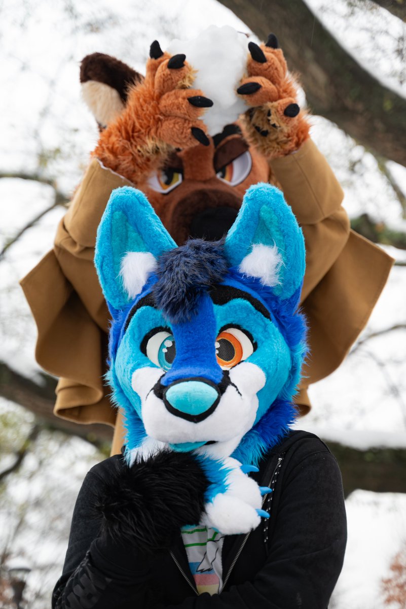 Society of Furries @ Tech tweet media