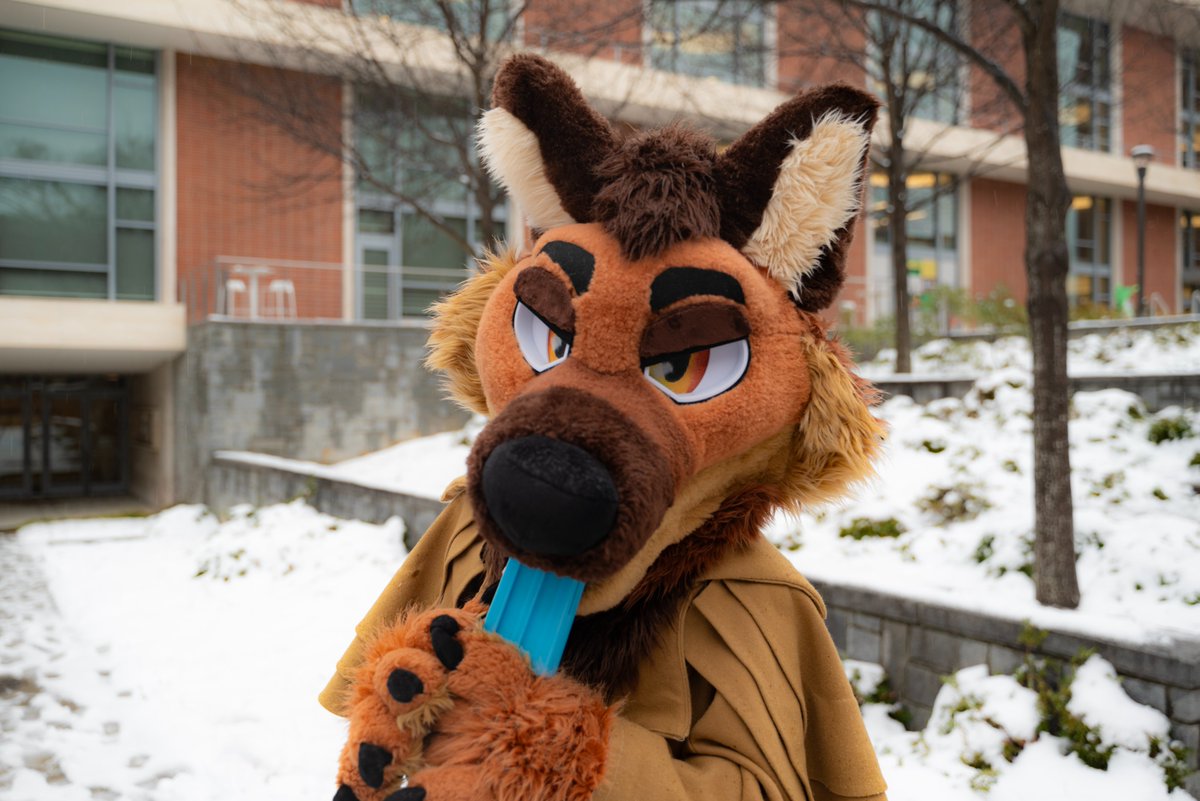 Society of Furries @ Tech tweet media