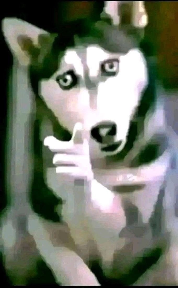 Ghuly (@ghulyfn) on Twitter photo 