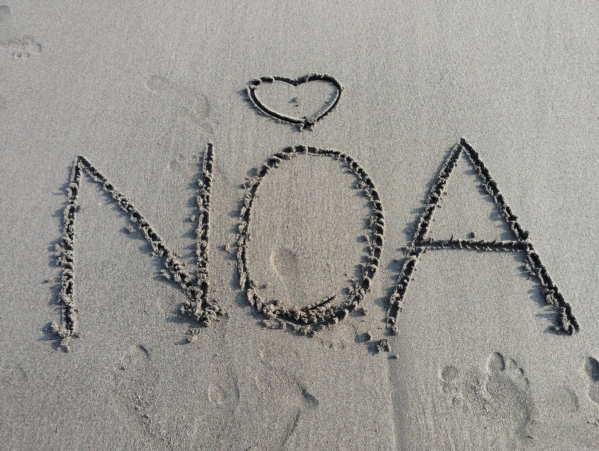 ˗ˋˏ  ✨NOA 5th Anniversary✨ ˎˊ˗
　　          2025.01.10💜

5周年本当におめでとうございます💐

<a href="/noamusic_japan/">NOA</a> 
#Alway5withNOA 

Same place diff time at Kamakura Yuigahama Beach 💜