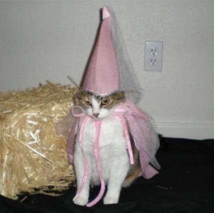 omg i love lilia calderu