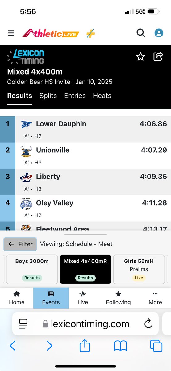 LowerDauphinTF's tweet image. Mixed 4x400 earns gold.  Elan Goeke, Chelsea Gula, Robert Reza, and Lauren Gula.