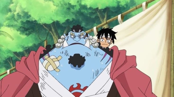 Daily Jimbei (@dailyjimbei) on Twitter photo 